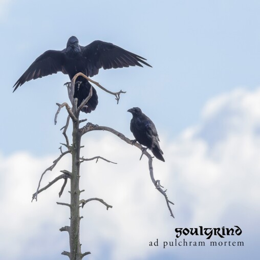 soulgrind-–-ad-pulchram-mortem-review