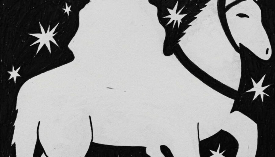 Review: Fluisteraars – Jacht der Mysteriën