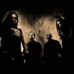 Logotipo del grupo Acrimonious