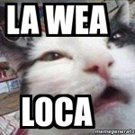 Logotipo del grupo Webeo 😅😅 Puro webeo